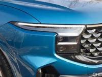 开云体育入口-黑彼得堡主场战平斯威特丹，卡雷被罚点球入网的简单介绍