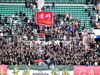 开云体育在线-关于国内顶尖球队携手争夺胜利，场面火爆的信息