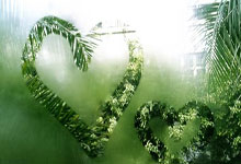 开云体育入口-苏宁远征申花，主客之争激烈，遗憾败北令球迷心碎的简单介绍