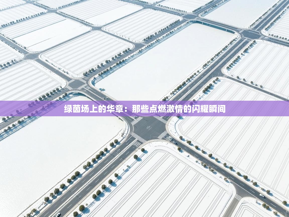 绿茵场上的华章：那些点燃激情的闪耀瞬间  第1张