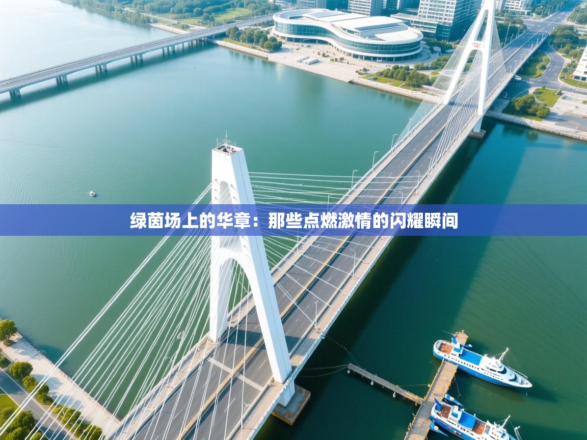 绿茵场上的华章：那些点燃激情的闪耀瞬间  第2张