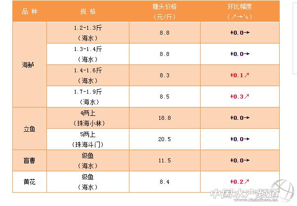 关于瓦朗西纳队主场取分，排名略有上升的信息