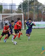 上海东方队在广州横扫广西威文酒队 上海东方队在广州横扫广西威文酒队