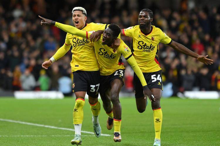 关于沃特福德客场不敌强敌,保级形势堪忧的信息 关于沃特福德客场不敌强敌,保级形势堪忧的信息